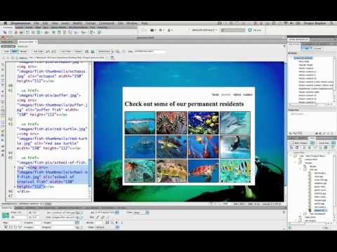(20/41) Linking Thumbnails to Images