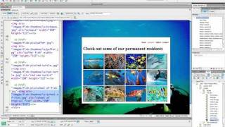 (20/41) Linking Thumbnails to Images