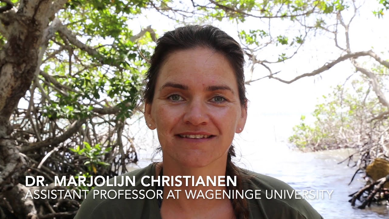 Tropical marine ecology fieldwork at Wageningen University and Research