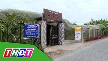 Mận "ngủ mùng" chuyển đổi tư duy, nâng cao giá trị nông sản | Nông thôn ngày nay - 15/12/2025 | THDT