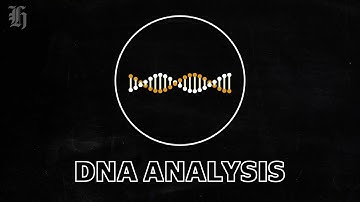 How does DNA analysis work?