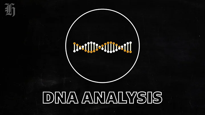 How does DNA analysis work?