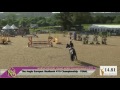 Northcote Young Horse Show 2017 ¦ 4yo FINAL ¦