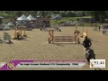 Northcote Young Horse Show 2017 ¦ 4yo FINAL ¦