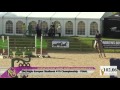 Northcote Young Horse Show 2017 ¦ 4yo FINAL ¦