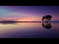 free ,Sunset, Tree, Lake, Sky, Water, Evening, Lilac, Pair of Birds, hd