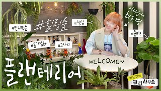 Choi Eun-kyung's Plant Interior Making a Fresh House 🌱 Room for Plants #HealingRoom