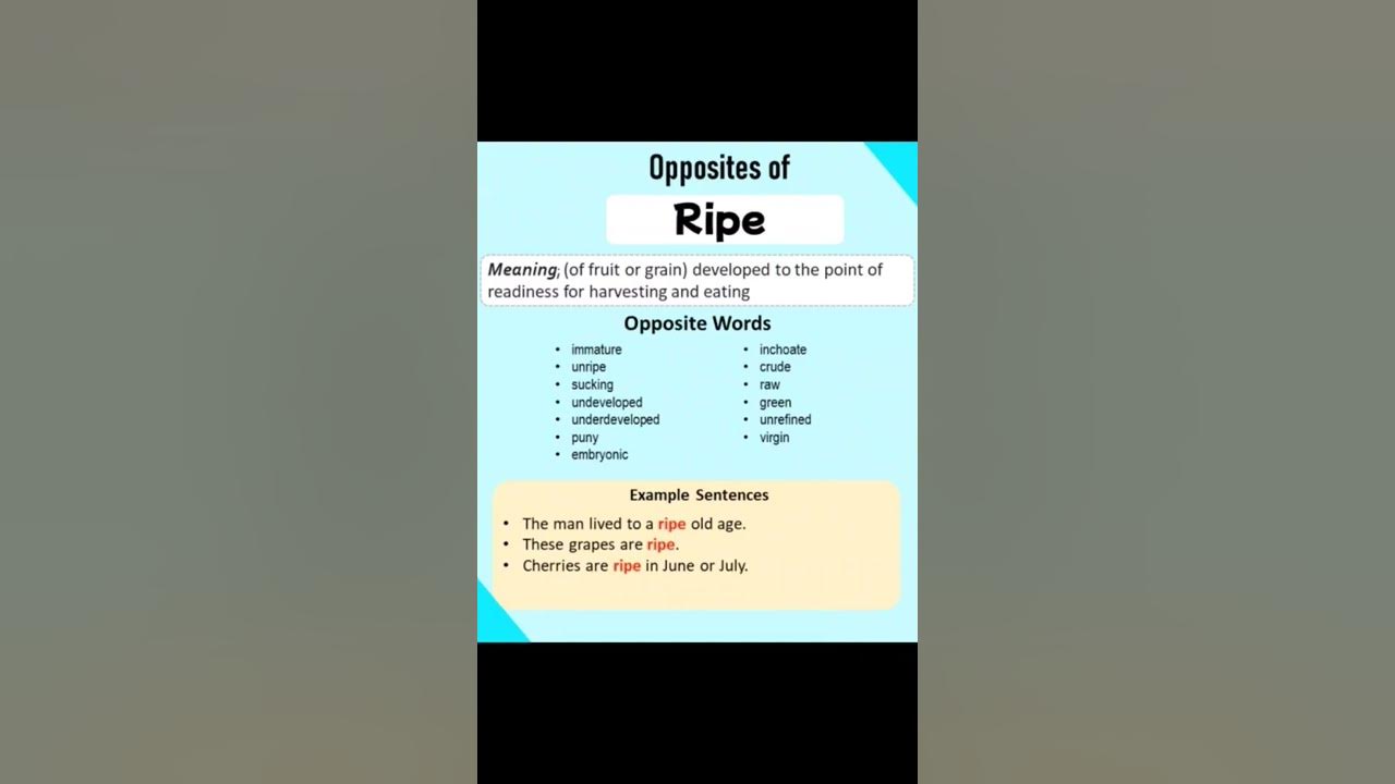 "Ripe" word # Meaning # Opposite Word of Ripe # Sentences using Ripe