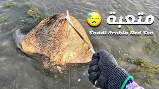 قوة تسحيب .. بدون فائدة 😒