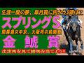 《スプリングS》生涯一度の夢、皐月賞に向かう3頭は？＆《金鯱賞》開幕週の中京、大阪杯の前哨戦//出走馬を見て相馬眼を磨き、勝馬を探し出す『必須動画』！【トレセンパドック2026】