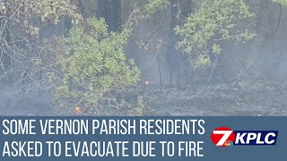 Wildfire in Vernon Parish burns over 200 acres