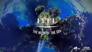 App  &quot;FEEL - TheMustOfTheSea.com&quot;  ESP