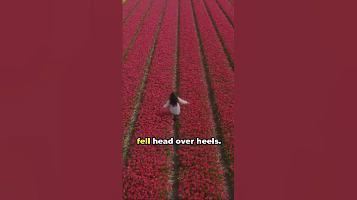 Tulip Mania: The Original "Speculative Bubble"