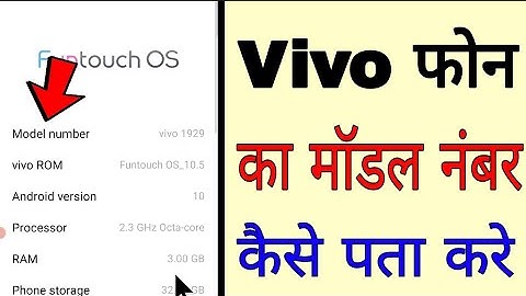 How to find Vivo mobile model number?