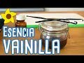 CÓMO HACER EXTRACTO DE VAINILLA