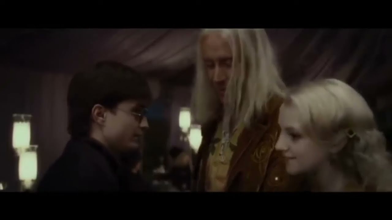 Harry Potter and the Deathly Hallows - Bill and Fleur / The Wedding