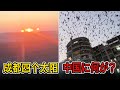 【異変続発】中国全土に現れる前兆──冬に桃が咲き、空にカラス、4つの太陽の正体とは?