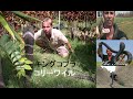 キングコブラスネーク 毒液抽出  驚くべき動物