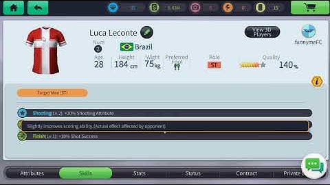 Glorious Eleven Tutorial - ST Labels & Skills