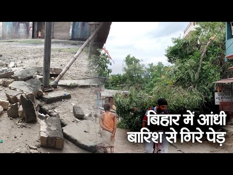 Bihar News :बिहार में आंधी बारिश से गिरे पेड़| Prabhat Khabar Bihar