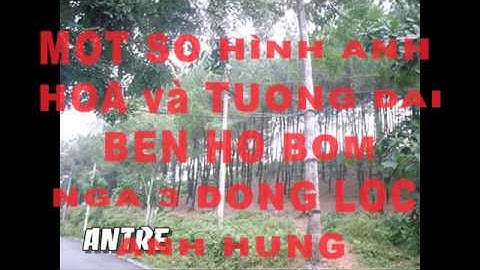 CÔ GÁI MỞ ĐƯỜNG    NGÃ  BA   ĐỒNG LỘC     ảnh  ANTRE