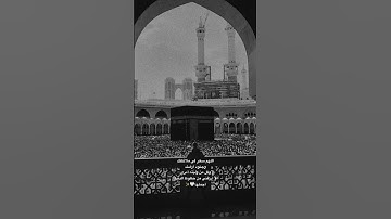 ‏سورة الروم 🤍| الله الذي خلقكم ثم رزقكم ) #اكسبلور #المصحف #القران_الكريم #اكسبلورهاشتاقات #الرحمن