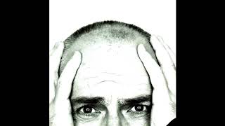 Peter Gabriel   Shock The Monkey