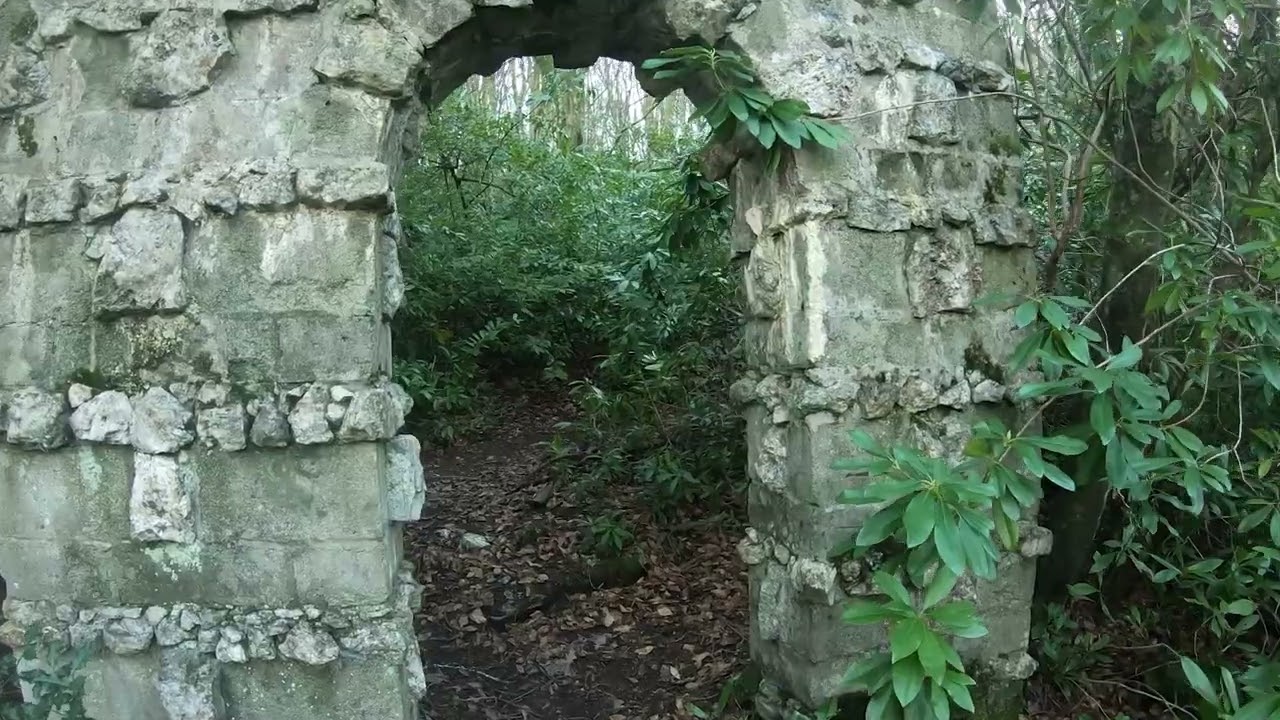 Lerryn river and Tivoli gardens walk YouTube