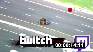 Senpai lorik "Pursuit"