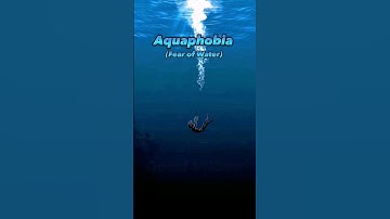 Which Of These Phobias Do You Have.....