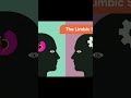 22 May 2026The Brain Explained Simply 🧠#shortsfeed