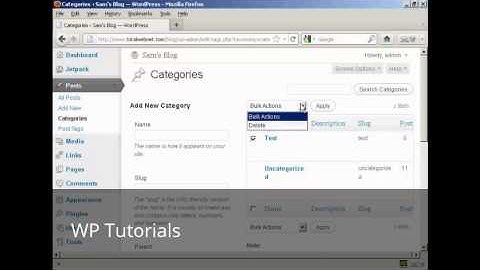 Video 32  How to Add or Delete Categories in Your WordPress Blog