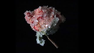 Crystal Rose