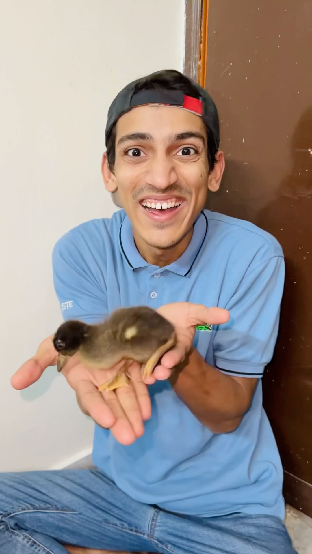 Duck ? Nesting With Eggs ?|