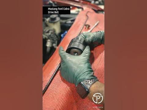 Mustang Ford Cobra Serpentine Belt Replacement - YouTube