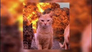 Own paradise (speed up)