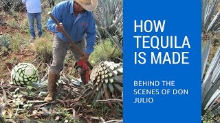 How Tequila Is Made: Behind The Scenes of Don Julio Tequila