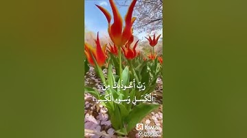 أذكار الصباح🌷خير ما تبدأ به يومك💚بصوت يريح قلبك❤#الدال_على_الخير_كفاعله