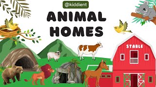 Animal Homes | animal home name | animal home names English