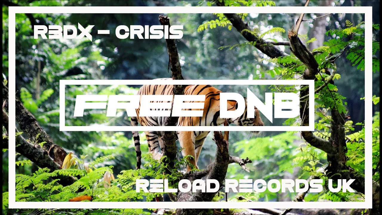 free dnb loops R3dx - Crisis (Free Download)
