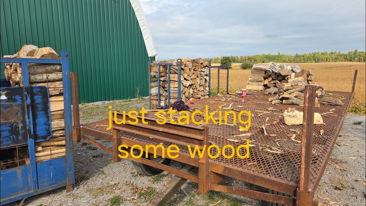 Just stacking some firewood in the cages - YouTube