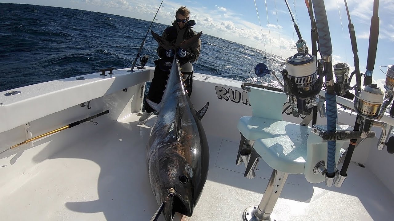Monster Bluefin Tuna caught on top water in North Carolina YouTube