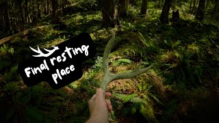 Final Resting Place / GoPro Hero 12