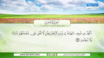 سورة يس | تلاوة مباركة من الآية 13 إلى الآية 32 | بصوت القارئ الشيخ محمود المالكي