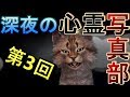 【心霊写真2019】深夜の心霊写真部【第3回】