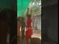 হর হর মহাদেব