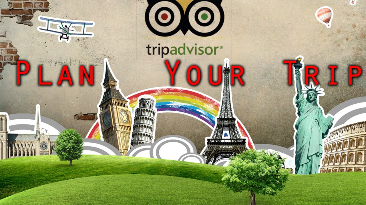 my day trip tripadvisor