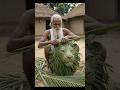 Amazing Coconut leaf Lion Craft 🌿 #handcrafted #leafart #shorts #coconutleaf