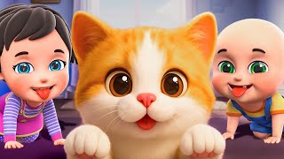 three little kittens cat new compilation bingo song nursery rhymes and kids songs baby bobo