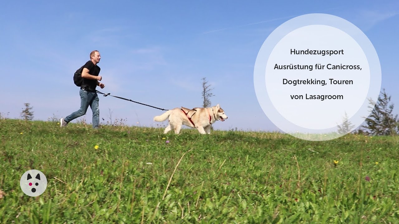 Lasagroom Hundezugsport Ausrüstung für Canicross Dogtrekking Touren
